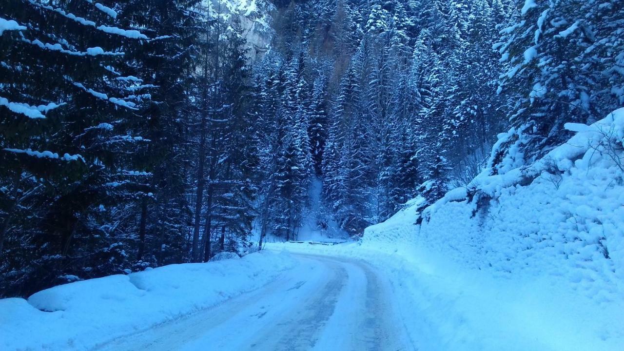 Aurora Otel Sinaia Dış mekan fotoğraf